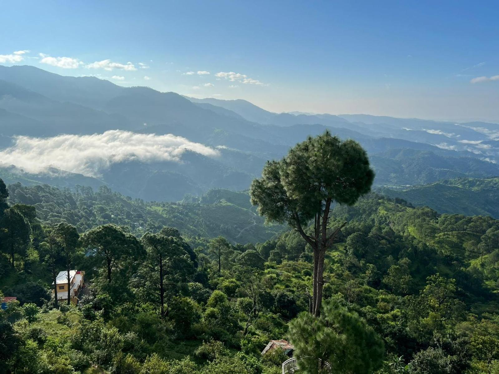 Peaks And Pines Resort Lansdowne Eksteriør bilde